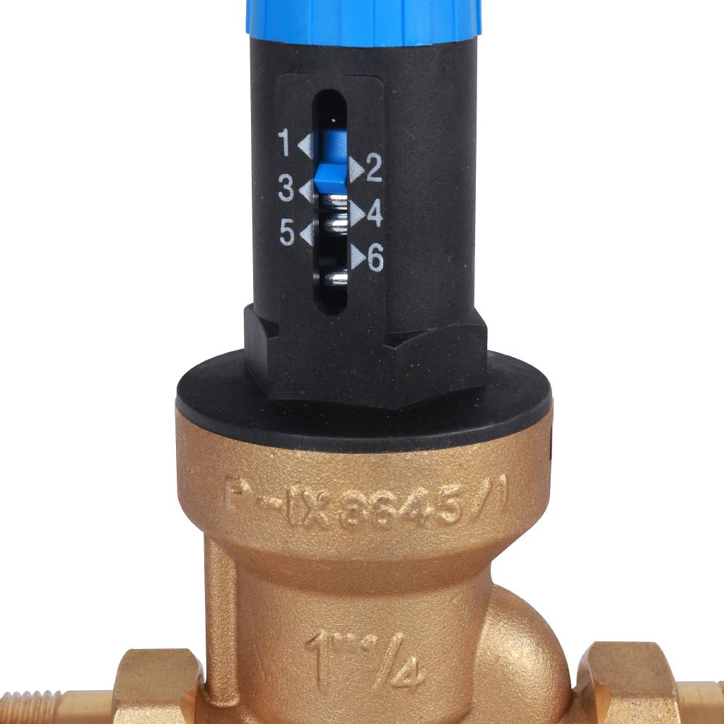 Watts DRV 32 N редуктор давления DRV-N 1 1/4 со шкалой регулировки, 10015773