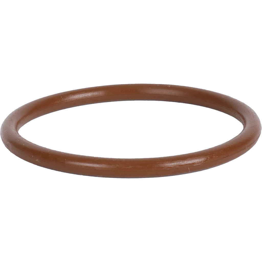 Уплотнительное кольцо ROMMER из FPM, 54, RSS-0028-000054