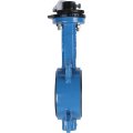 *VPI4449-02EP0065 Tecofi Затвор дисков.поворотный, корпус ковкий чугун, диск нж сталь VPI4449 Ду65 Ру16 EP, VPI4449-02EP0065