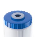 Картридж Гейзер WsFe - 10BB, 30637
