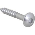 Шуруп Walraven BIS RapidRail Torx TX30 6x40мм, 61843640