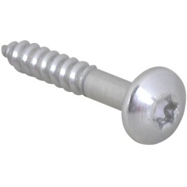 Шуруп Walraven BIS RapidRail Torx TX30 6x40мм, 61843640