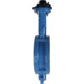 *VPI4449-02EP0100 Tecofi Затвор дисков.поворотный, корпус ковкий чугун, диск нж сталь VPI4449 Ду100 Ру16 EP, VPI4449-02EP0100