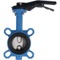 *VPI4449-02EP0065 Tecofi Затвор дисков.поворотный, корпус ковкий чугун, диск нж сталь VPI4449 Ду65 Ру16 EP, VPI4449-02EP0065