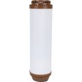 Картридж AquaFilter AQM 10 для удаления железа, FCCFE